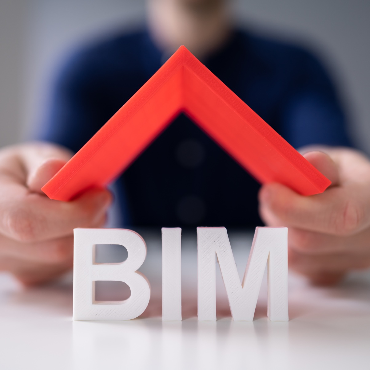 BIM Services and Rendering